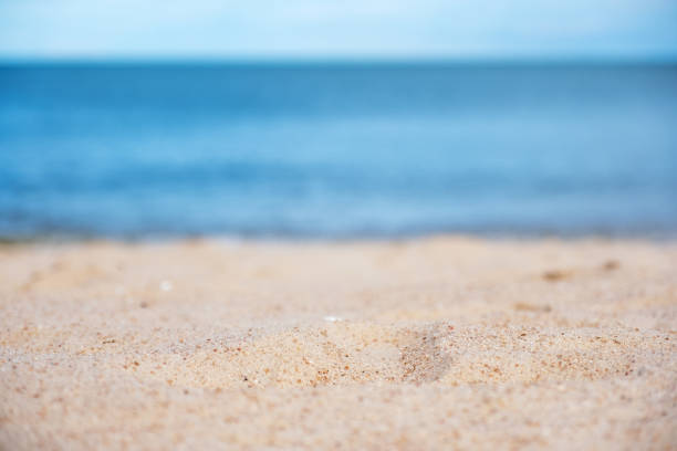 istock sand on tropical  beach with blue sea and sky background 1175177258