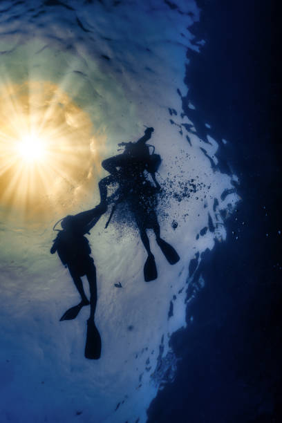 Scuba Divers Silhouette and sunbeam underwater low angle view The silhouette of several unrecognisable, underwater scuba divers swimming beneath. The rays of light from the sun above penetrate the water’s surface. The image conveys happiness in nature. Image was taken in Andaman Sea, Thailand. scuba diving family stock pictures, royalty-free photos & images