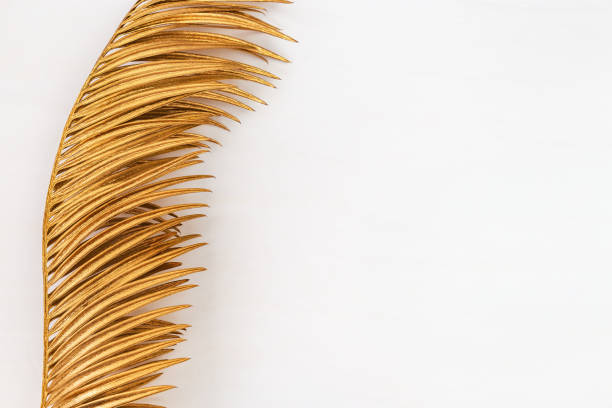 istock Gold spray painted natural leaf of palm tree on white background. Top view, copy space. Minimal concept 1175179343