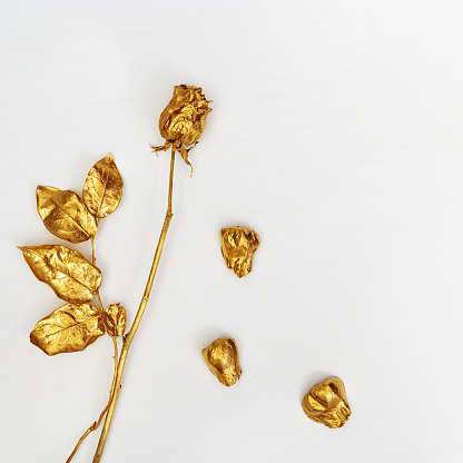 Golden flower rose close up with fall petals on light concrete background. Creative decoration plant painted gold metallic color. Bright fashion flower.