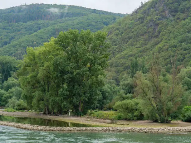 the romantic river rhine near bingen in germany