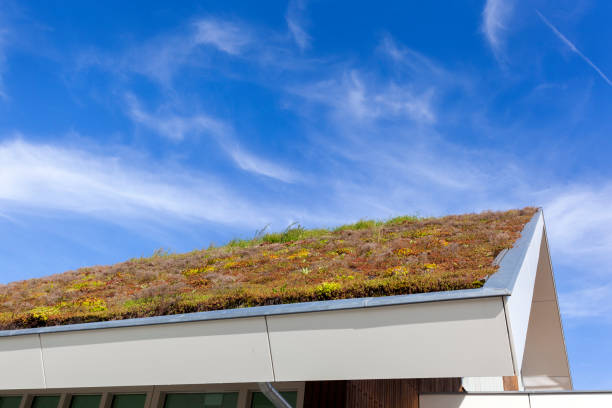 istock Sustainable and ecological green roof 1175185479