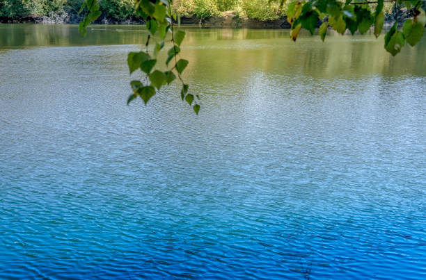 Small forest fishing lake in the beginning of autumn