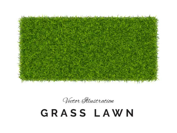 Vector illustration of Fake Green Grass or Astroturf Square Background Isolated