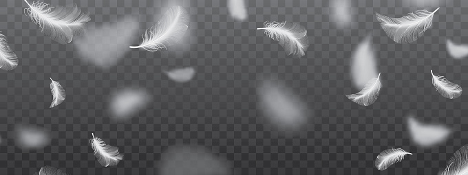 White flying bird feather pattern on dark background. Realistic 3d vector illustration of falling dove feathers texture or elegant soft plume backdrop
