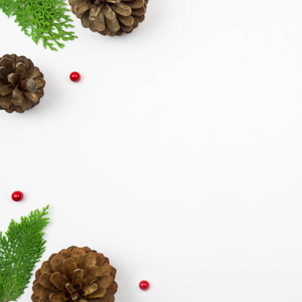 istock Creative Christmas layout. Twigs and pinecones on white background with copy space. 1175186896