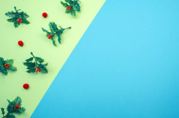 istock Creative and minimal Christmas layout. Mistletoe on green and blue background with copy space. 1175186910