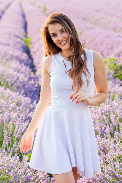 picking lavender - cut flowers women field single flower imagens e fotografias de stock