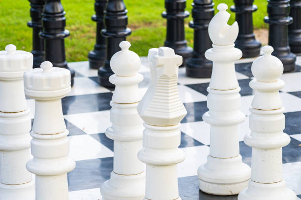 istock Black and white chess around outdoor 1175194897