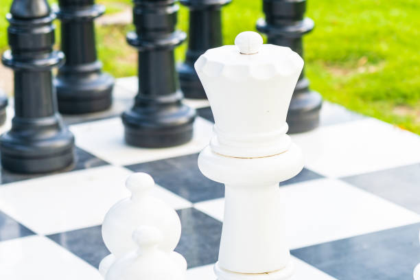 istock Black and white chess around outdoor 1175194933