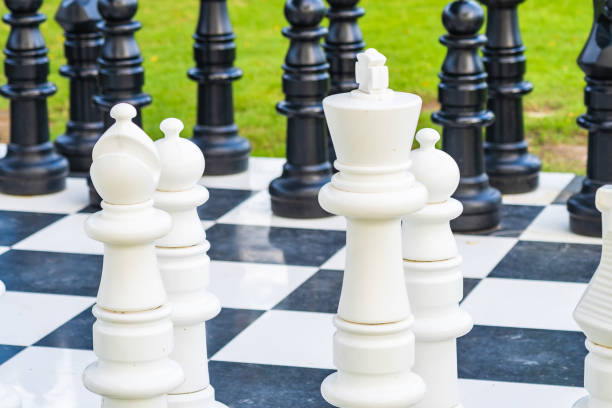 istock Black and white chess around outdoor 1175195027