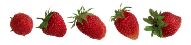 istock Organic Strawberry Isolated on White Background Close Up 1175197595