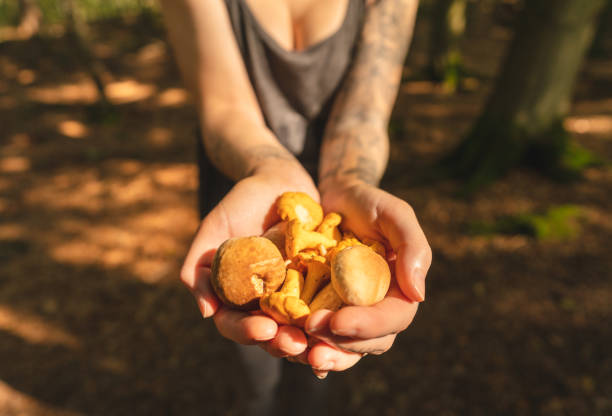 istock Woman with tattoos picking mushrooms in the forest 1175201445