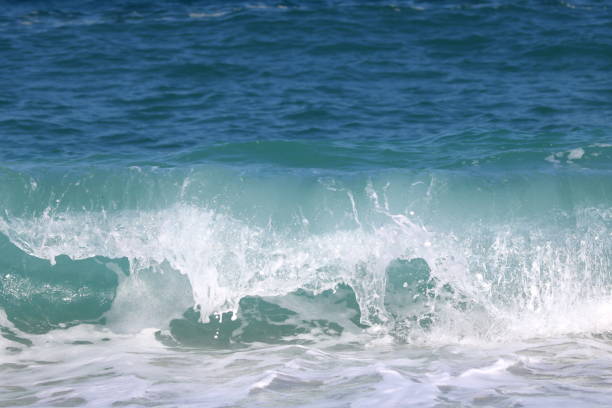 istock Big beautiful wave in turquoise water 1175205907