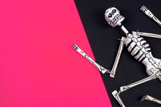 istock Creative and minimal Halloween layout. Skeleton on pink and black paper background. 1175206993
