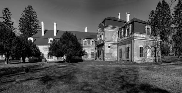 istock Ruins of Somssich Country Chateau 1175207457
