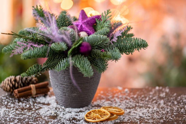 arreglo navideño con pino noruego nobilis y decorado con decoración navideña en una copa de cerámica. garland bokeh en el fondo. amor navideño. mesa de madera oscura salpicada de nieve - nobilis fotografías e imágenes de stock