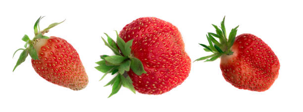 istock Organic Strawberry Isolated on White Background Close Up 1175218739