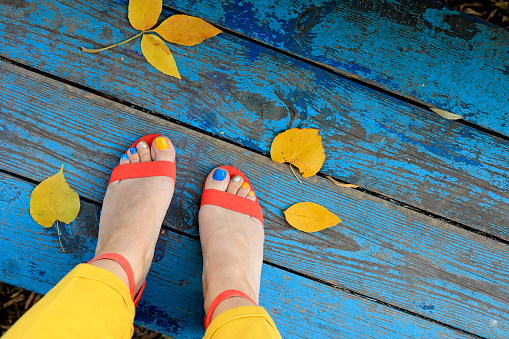 Multicolored autumn pedicure in orange sandals with yellow leaves on a blue wooden background close-up.