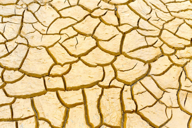 istock Dried and Cracked earth texture or background. Climate change, Water crisis and global warming. 1175219709