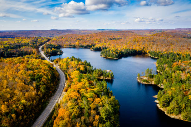 high angle view of a road in autumn - autumn landscape usa country road imagens e fotografias de stock