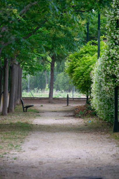 istock Walking the dog, suburb scene landscape spring 1175225198