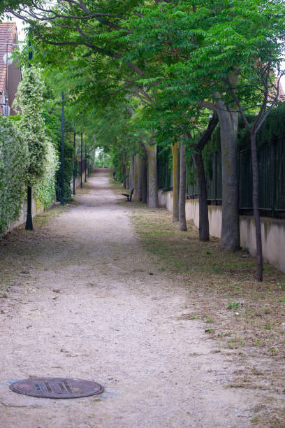 istock Walking the dog, suburb scene landscape spring 1175226037