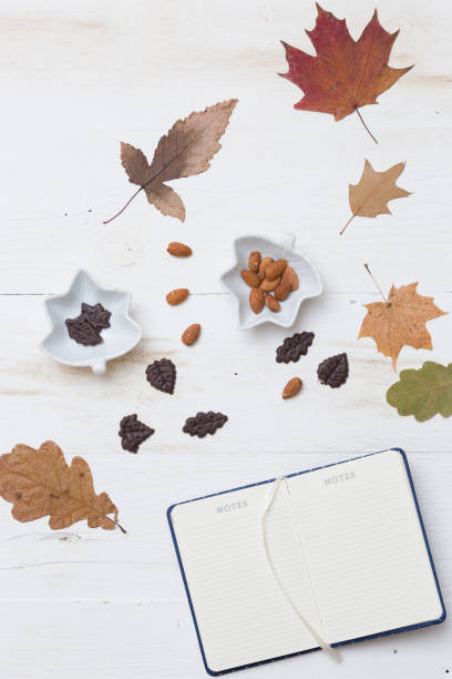 istock Top view on autumn background: leaves, chocolate, nuts on wooden white board. 1175226301