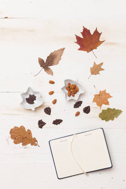 istock Top view on autumn background: leaves, chocolate, nuts on wooden white board. 1175226318