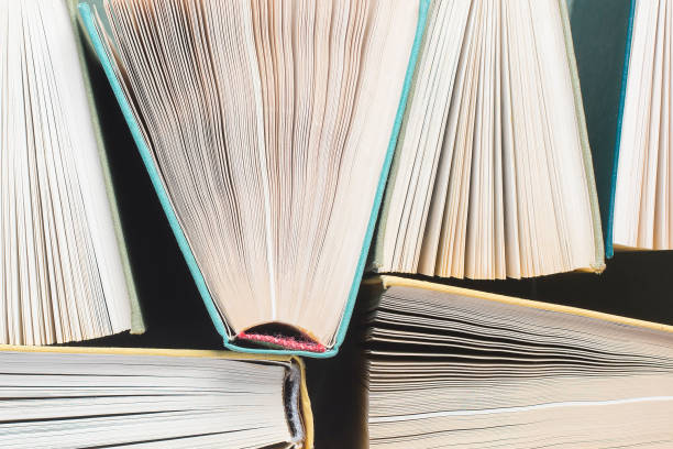 istock Books and textbooks top view, education concept 1175228049