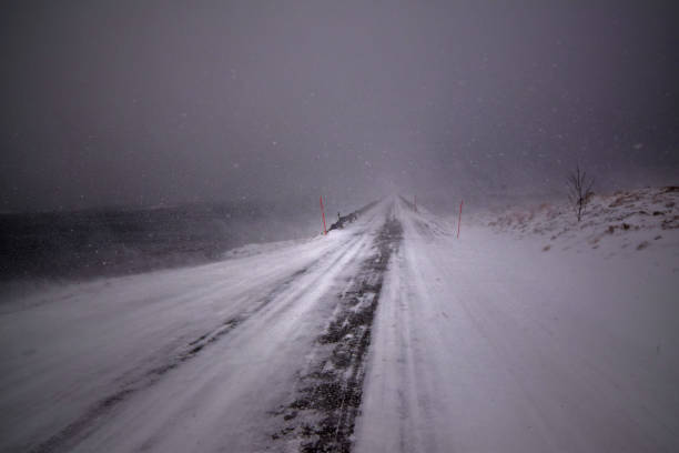 istock Nordic winter roads 1175231232