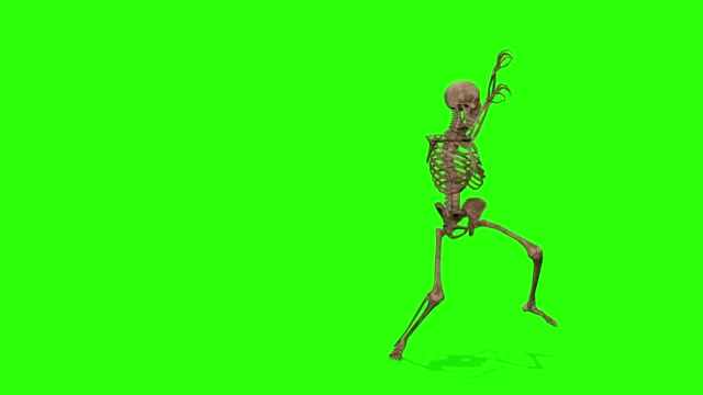 Dancing skeletons on a green screen background. Halloween concept.