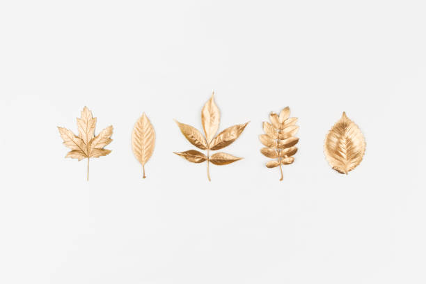 istock Autumn composition. Autumn golden leaves on white background. Flat lay, top view, copy space 1175233974