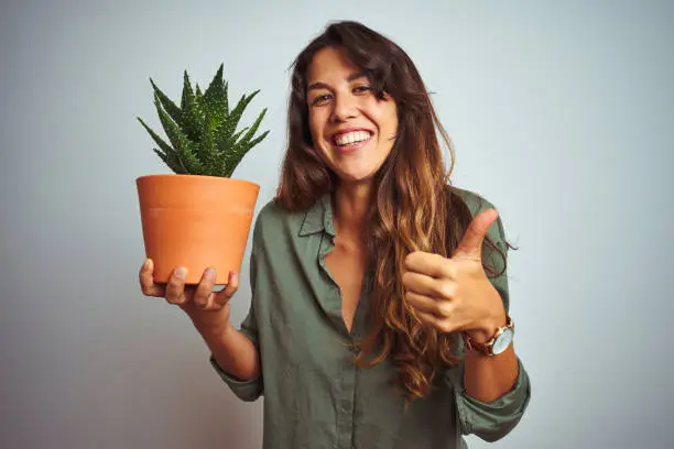 Photo of Young beautiful woman holding cactus pot over white isolated background happy with big smile doing ok sign, thumb up with fingers, excellent sign