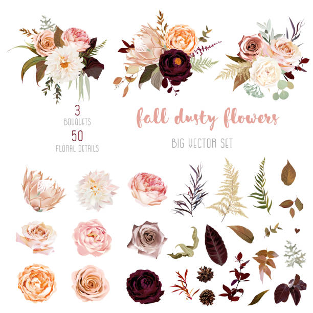 ilustrações, clipart, desenhos animados e ícones de coleção grande do vetor do estilo pastel floral da aguarela - rose metallic plant flower