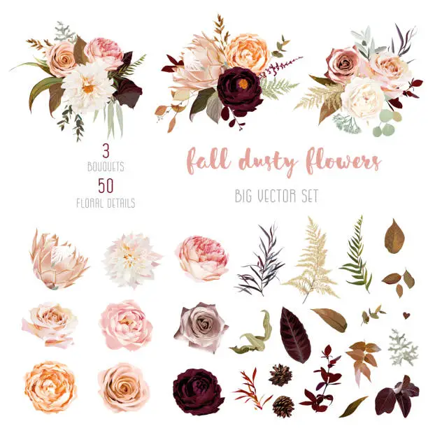 Vector illustration of Floral pastel watercolor style big vector collection