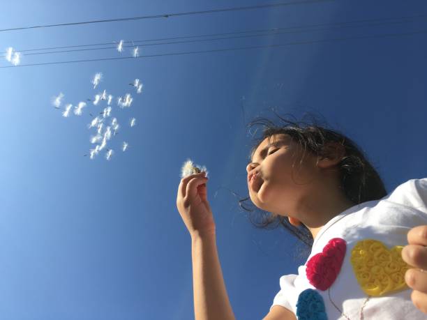 istock A little girl blowing dandelion seeds. 1175238561
