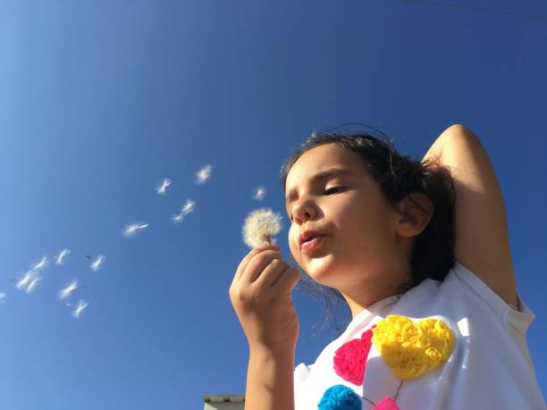 istock A little girl blowing dandelion seeds. 1175238650