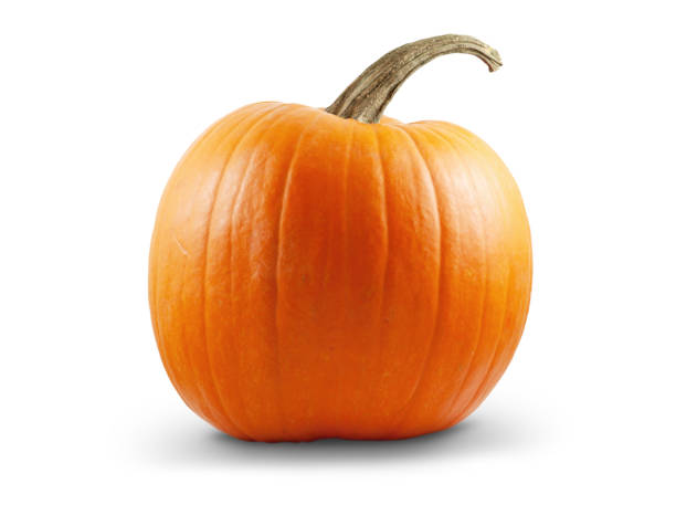 citrouille - gourd halloween fall holidays and celebrations photos et images de collection