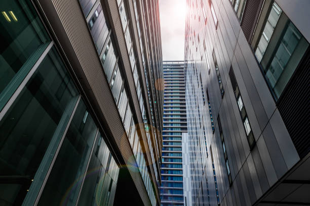 istock Tokyo buildings and sky 1175243527