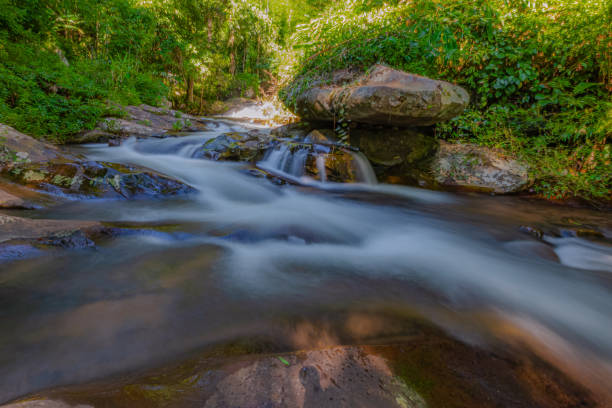 istock Phu Soi Dao Waterfall Uttaradit Province, Thailand 1175244924