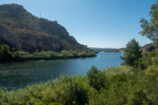 The Ebro river next to the greenway of Tarragona The Ebro river next to the greenway of Tarragona, Spain via verde spain stock pictures, royalty-free photos & images