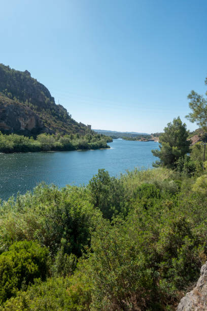 The Ebro river next to the greenway of Tarragona The Ebro river next to the greenway of Tarragona, Spain via verde spain stock pictures, royalty-free photos & images