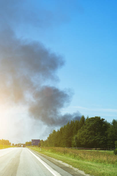 istock A big fire in the forest near the highway. 1175250975