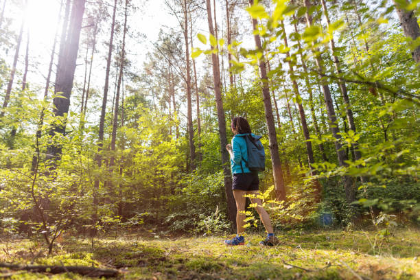 istock Young woman hiking in the forest 1175252210