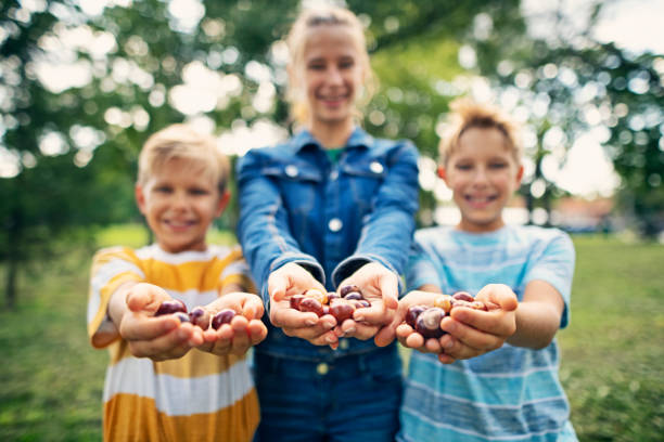 Children holding handfuls of fresh conkers picked up from the grass.\nNikon D850.