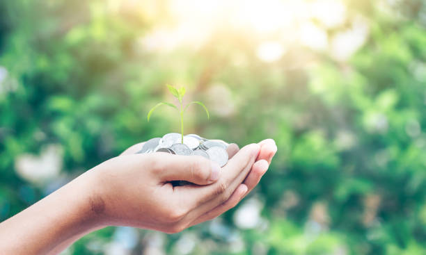 istock Invest and fund concept: Human hands save holding golden coin stack and small tree on blurred green nature background 1175257541