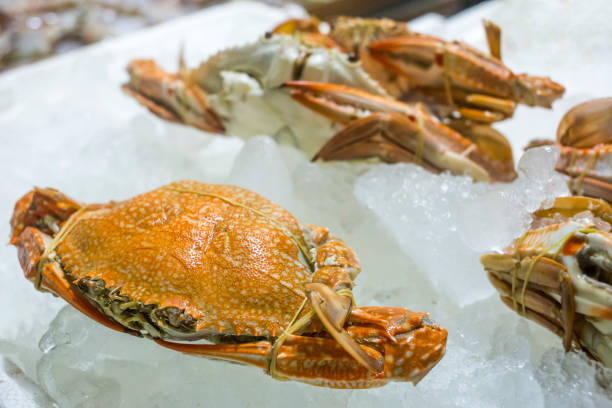 istock Fresh crab big size on the ice, focus selective 1175259857