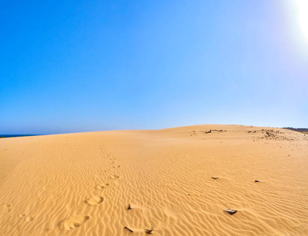 istock Valdevaqueros Dune. The Natural Park Strait. Rate, Cadiz, Spain. 1175261005