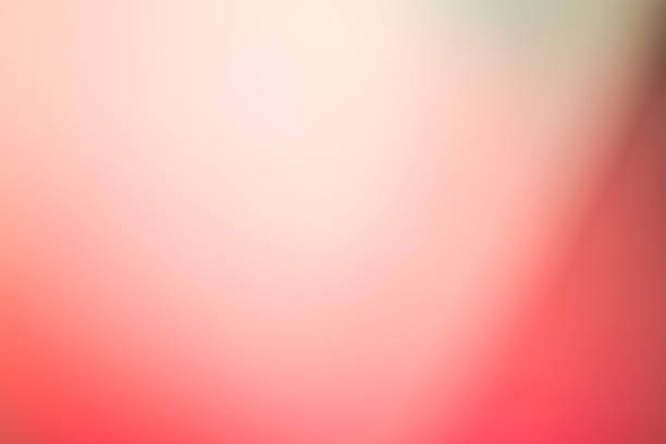 istock Abstract red floral blurred background. Tropical palm leave backdrop 1175262489
